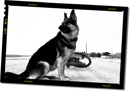 Mitch Dorge : : Tales from the Road