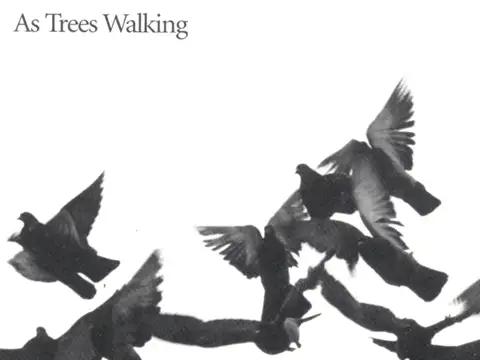 As Trees Walking